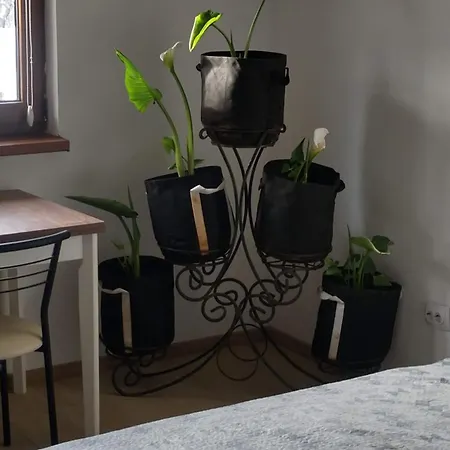 будинок біля лісу Apartamento