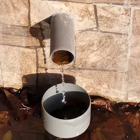 будинок біля лісу * Skhidnytsia