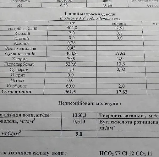 будинок біля лісу Skhidnytsia