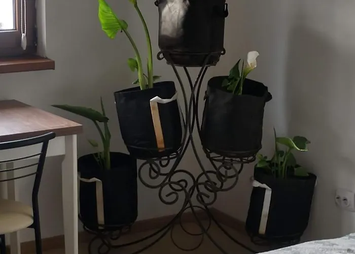 будинок біля лісу Apartament
